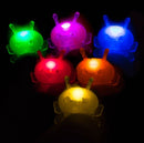 [Bundle Of 2] Bright Bugz Evolution 12 Piece PDQ