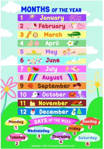 Growing Up Educational Posters (Set of 8) - General Knowledge (28X40cm)