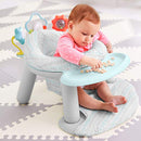Skip Hop Silver Lining Cloud Infant Seat 2 in 1 Activity