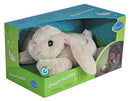 Cloud B Dream Buddies - Bunny