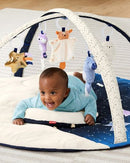 Skip Hop Celestial Dreams Activity Gym