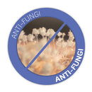 Lucky Baby - I-Silkee™ High Density Tencel Mattress - 26' x 38' x 3'