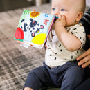 Baby Einstein Curious Explorers Teether Book