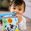 Baby Einstein Curious Explorers Teether Book