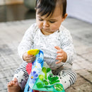 Baby Einstein Curious Explorers Teether Book