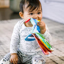 Baby Einstein Curious Explorers Teether Book