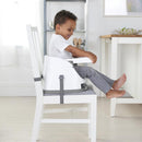 Ingenuity Baby Base 2-in-1 Seat