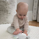 Ingenuity Premium Soft Plush Van â„¢ Ring Rattle