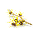 Mambino Organics Anti-Bug Repellent Spray – Lemongrass + Citronella 120ml Exp: 11/25