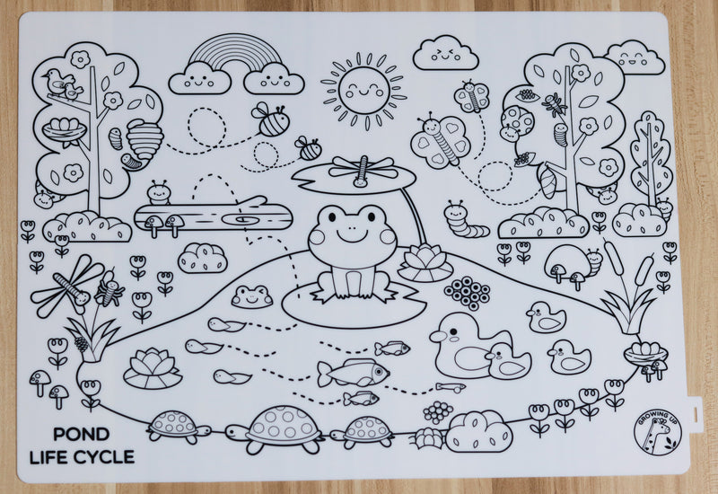 Growing Up Silicon Colouring Big Mat 40x30cm (with bag) - Pond Life Cycle