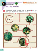 Kumon Science Sticker Activity Book - K & Up