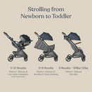 Ergobaby Metro+ Deluxe Compact City Stroller - Empire State Green