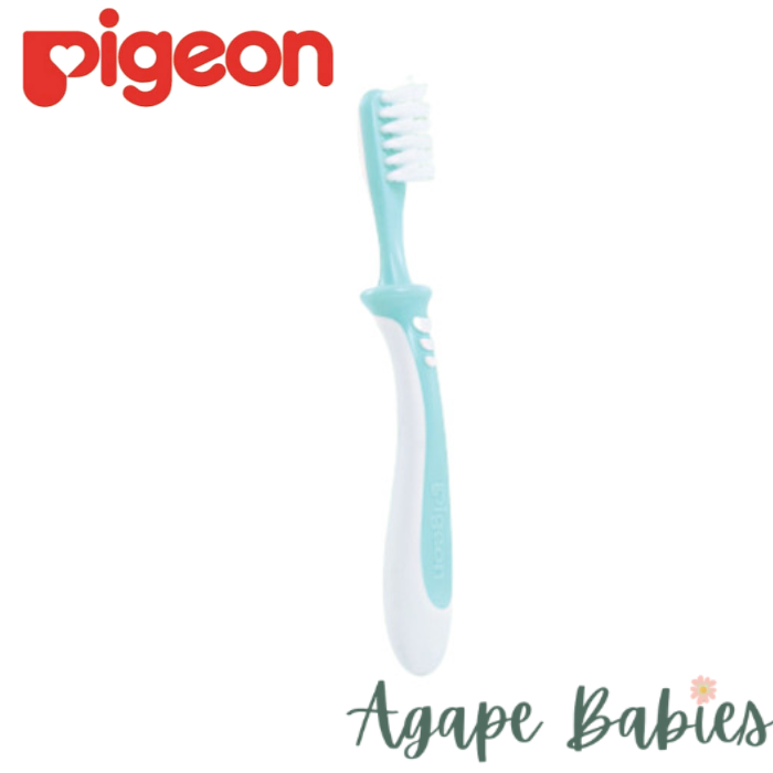 Pigeon Training Toothbrush Lesson 3 - Green (NEW)