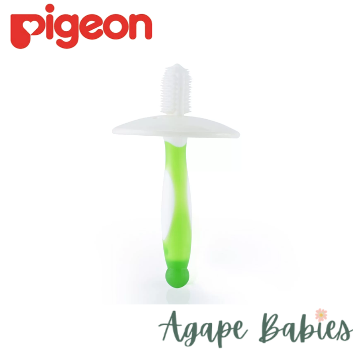 Pigeon Training Toothbrush Lesson 1 - Green