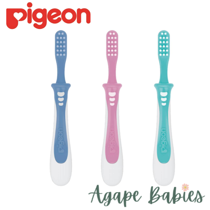 Pigeon Training Toothbrush Lesson 3 - Green /Blue/Pink (Mix Color)