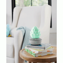 Skip Hop Terra Cry-Activated Soother