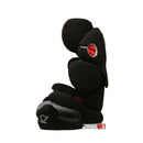 Poled x KIA Ball-Fix 310 - Black