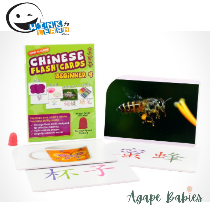 WINK to LEARN Chinese Flash Cards - Beginner 4