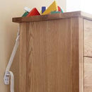 [2-Pack] Baby Dan Furniture Strap