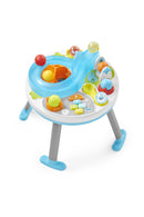 Skip Hop Explore & More Activity Table