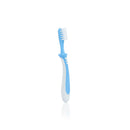 Pigeon Training Toothbrush Lesson 3 - Blue (NEW)