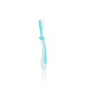 Pigeon Training Toothbrush Lesson 3 - Green (NEW)