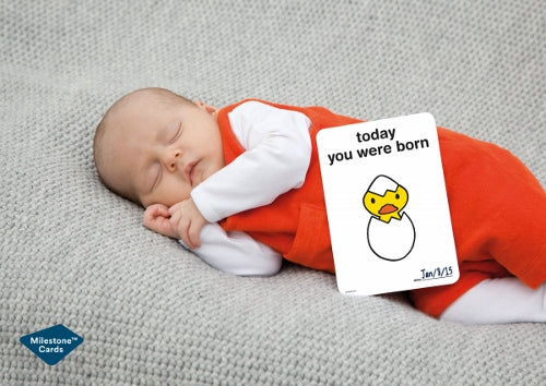 Milestone Pregnancy Cards - Miffy Edition