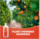 ECOS Hand Soap Orange Blossom Refill 32oz/946ml