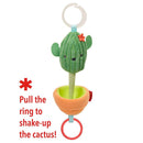 Skip Hop Cactus Jitter Toy
