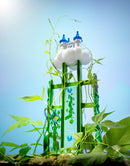 Smart Games Jack & The Beanstalk