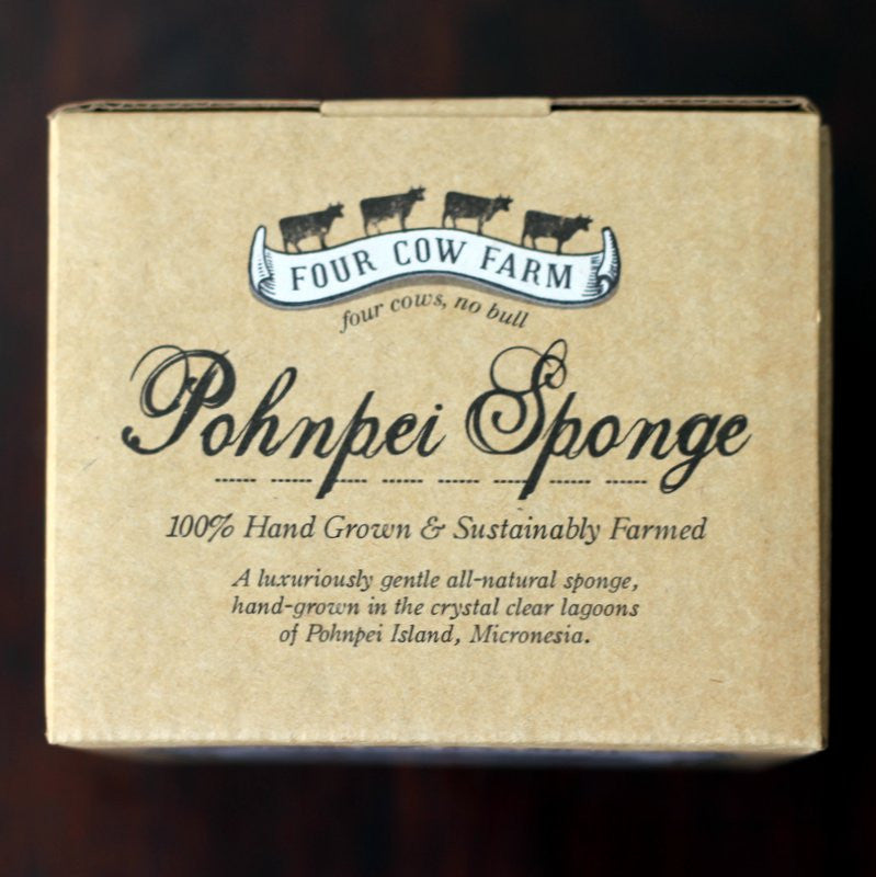 Four Cow Farm Pohnpei Sponge