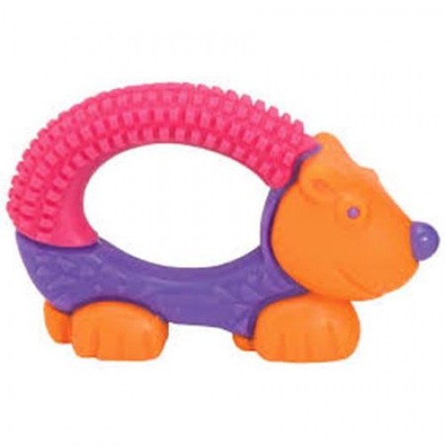 [2 Pack] THE FIRST YEARS Bristle Buddy Teether