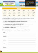 Letterland Spelling Stations 2 - Pupil Pack